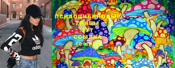 сатива Белоозёрский